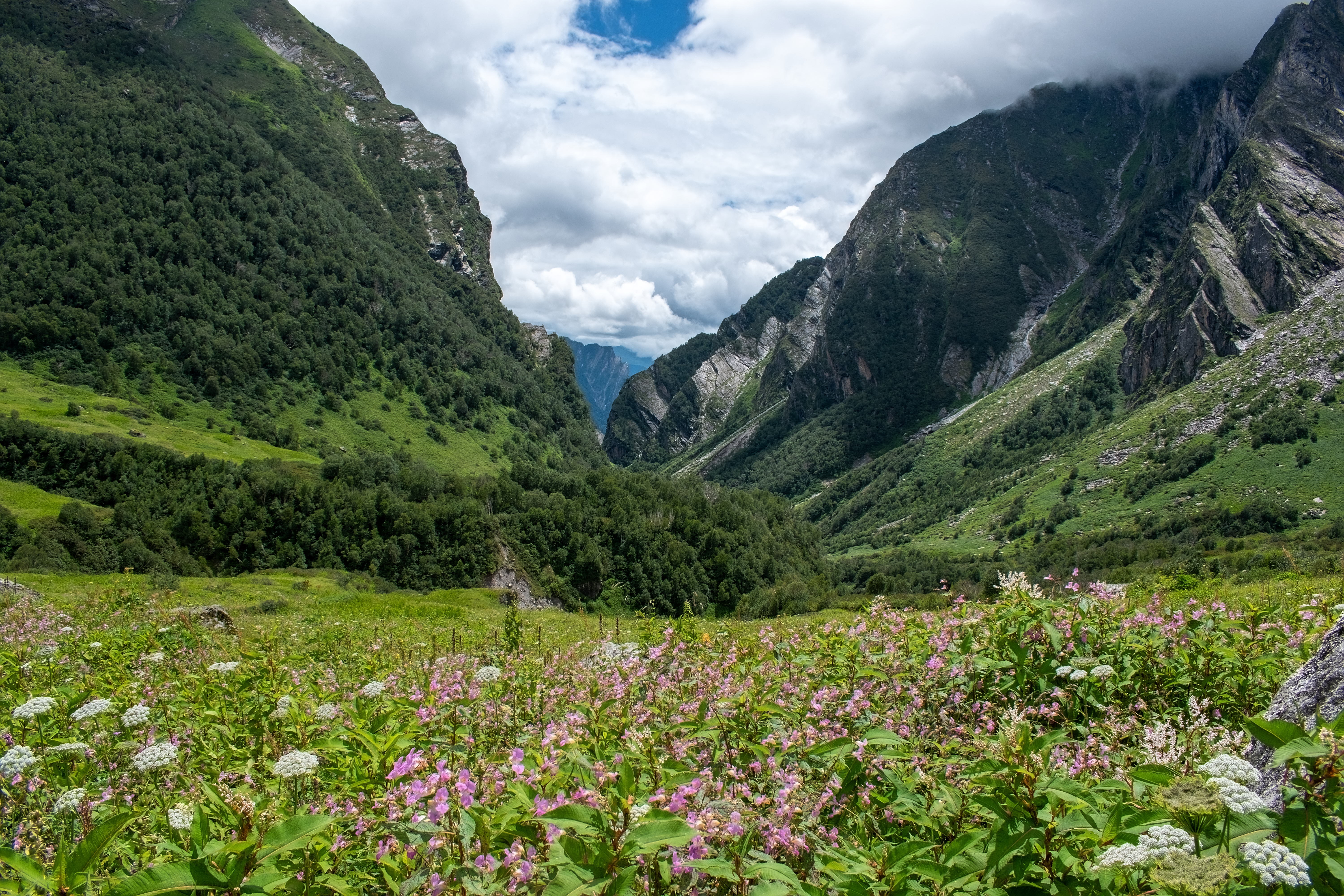Uttarakhand
